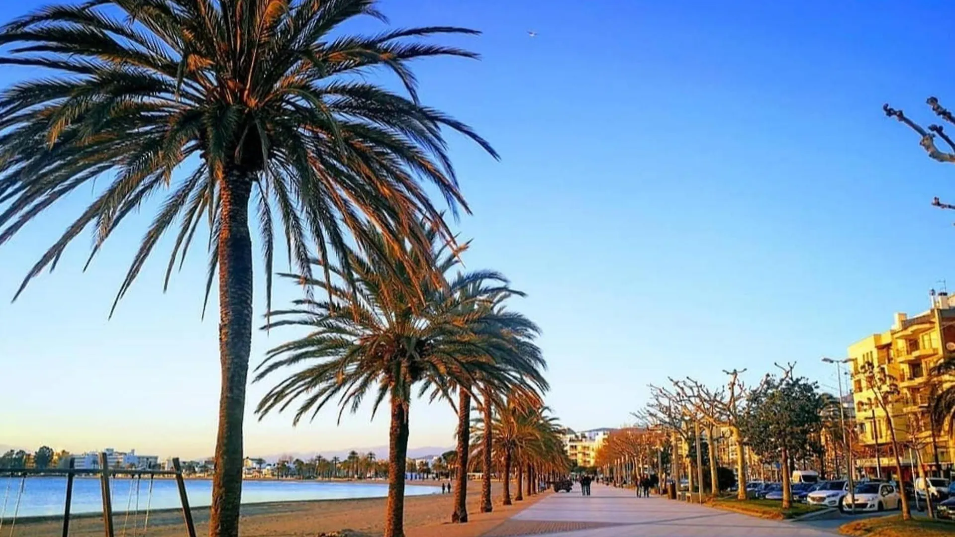 公寓 Apartamento En Roses Para 5-6 Personas, 2ª Linea De Playa, Terraza, Parking, Sin Mascotas, Sabanas Incluidas - Es-258-41 西班牙